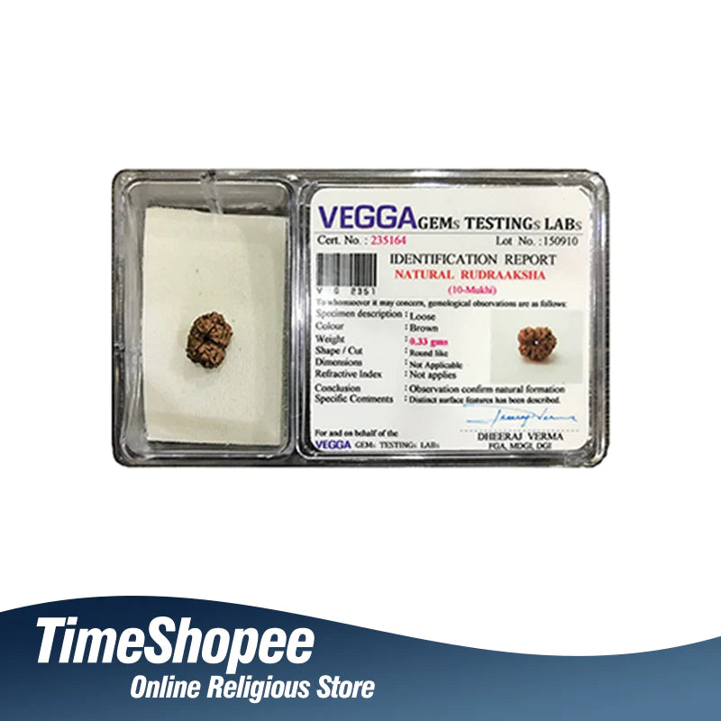 दस मुखी रुद्राक्ष के लाभ/10 Mukhi Rudraksha Benefits