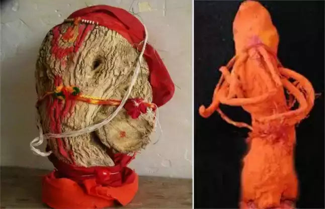 श्वेतार्क गणपति के लाभ/Shwetark Ganpati Ke Labh