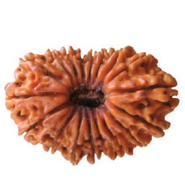 अठारह मुखी रुद्राक्ष के लाभ/18 Mukhi Rudraksha Benefits