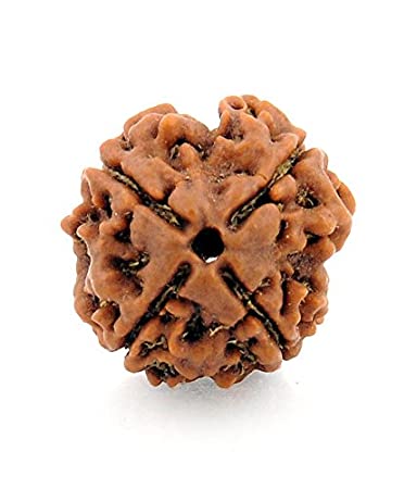 चार मुखी रुद्राक्ष के लाभ/4 Mukhi Rudraksha Benefits