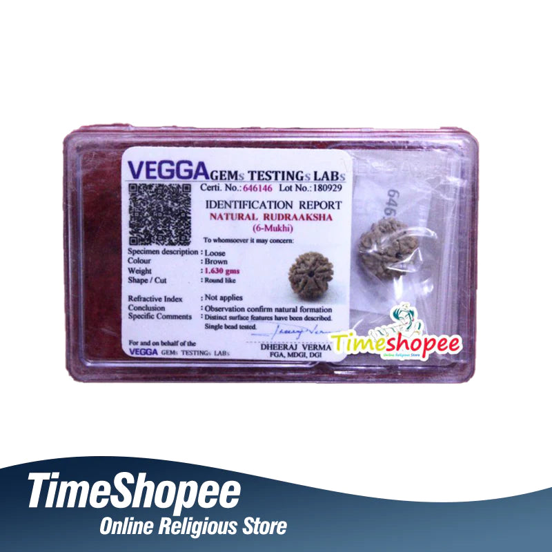 छः मुखी रुद्राक्ष के लाभ/6 Mukhi Rudraksha Benefits