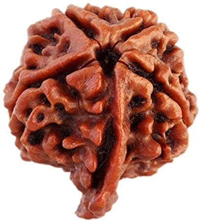 गणेश रुद्राक्ष के लाभ/Ganesh Rudraksha Benefits