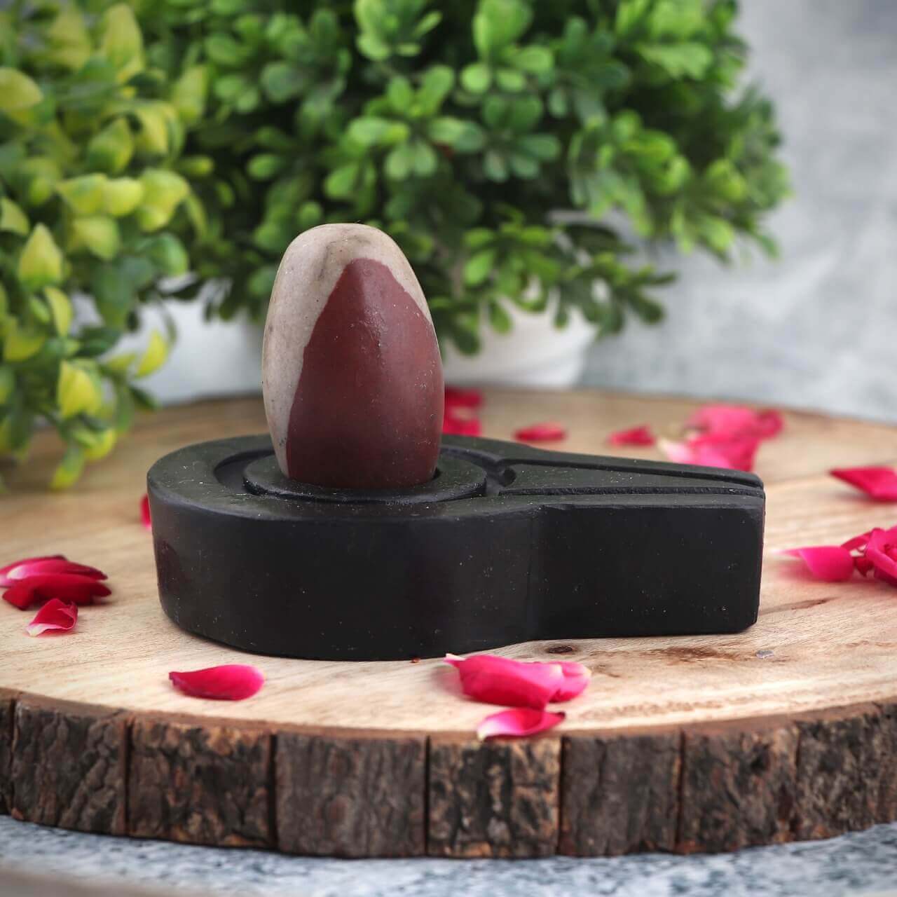 नर्मदेश्वर शिवलिंग के लाभ/Narmdeshwar Shivlinga Benefits