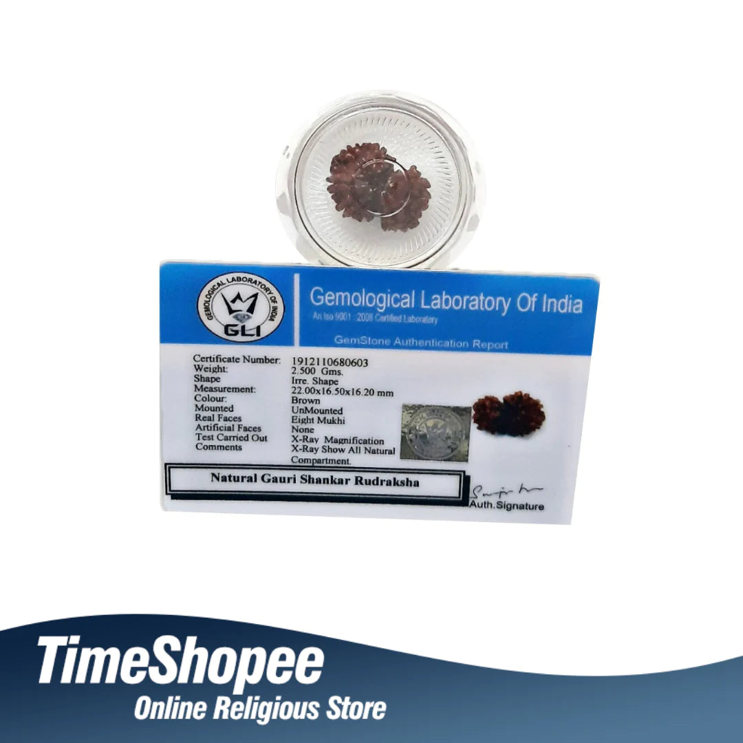 गौरी शंकर रुद्राक्ष के लाभ/Gauri Shankar Rudraksha Benefits