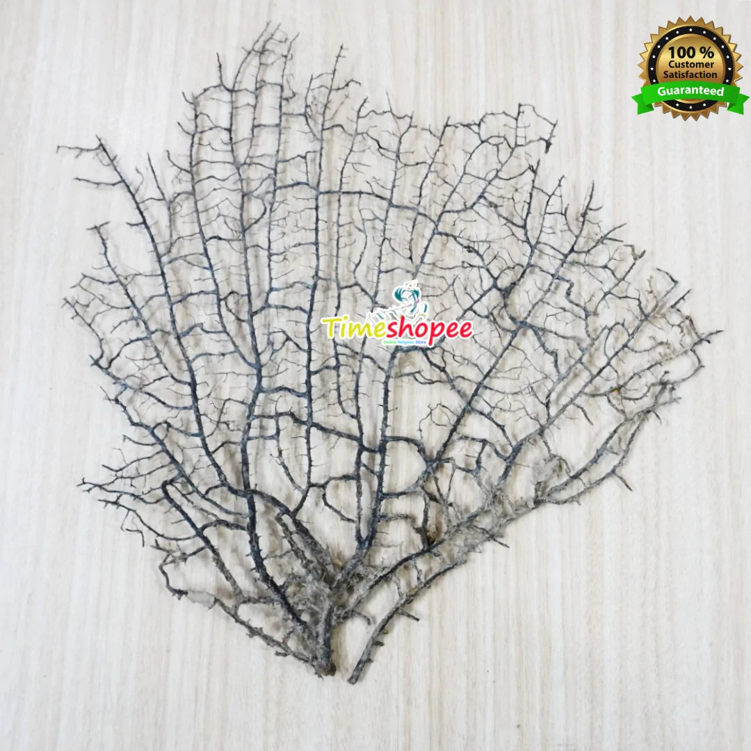 इंद्रजाल के लाभ/Indrajaal Benefits