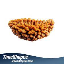 एक मुखी रुद्राक्ष के लाभ/1 Mukhi Rudraksha Benefits
