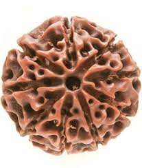 नौ मुखी रुद्राक्ष के लाभ/9 Mukhi Rudraksha Benefits