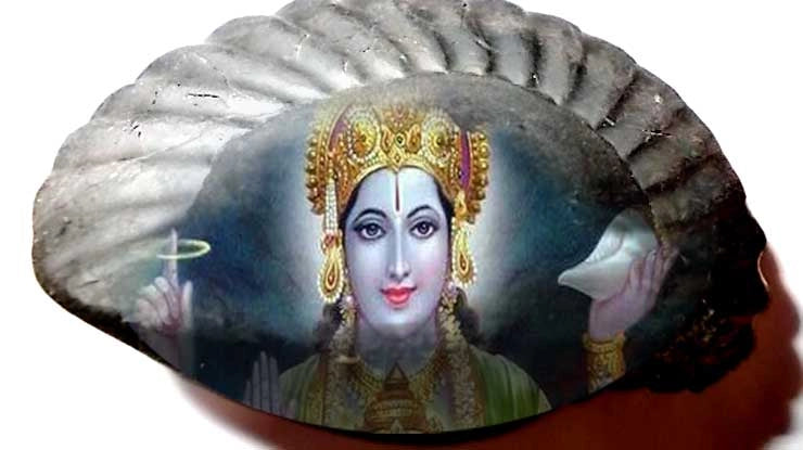 शालिग्राम के लाभ/Shaligram ke labh