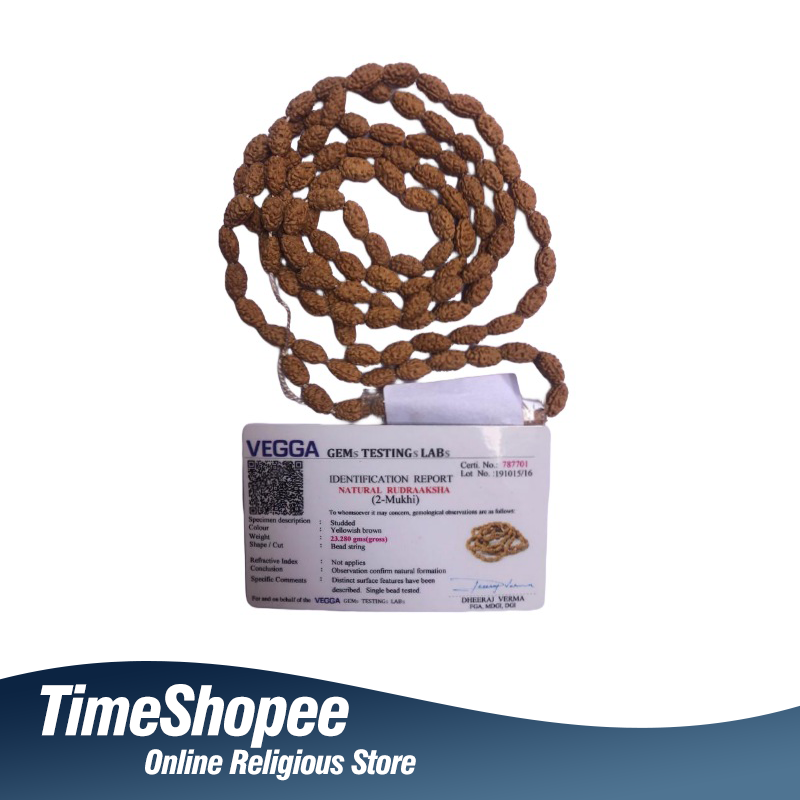 2 Mukhi Rudraksha Mala with 108+1 Beads, Lab Certified, 100% Pure
