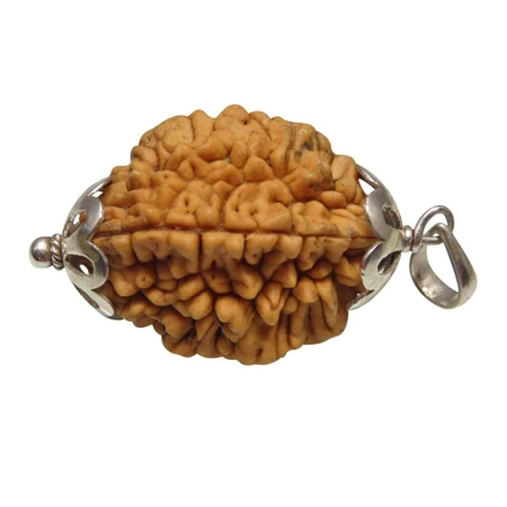 2 Mukhi Rudraksha Pendant in Silver Cap displayed on a white background, featuring fine silver work and a natural Rudraksha bead