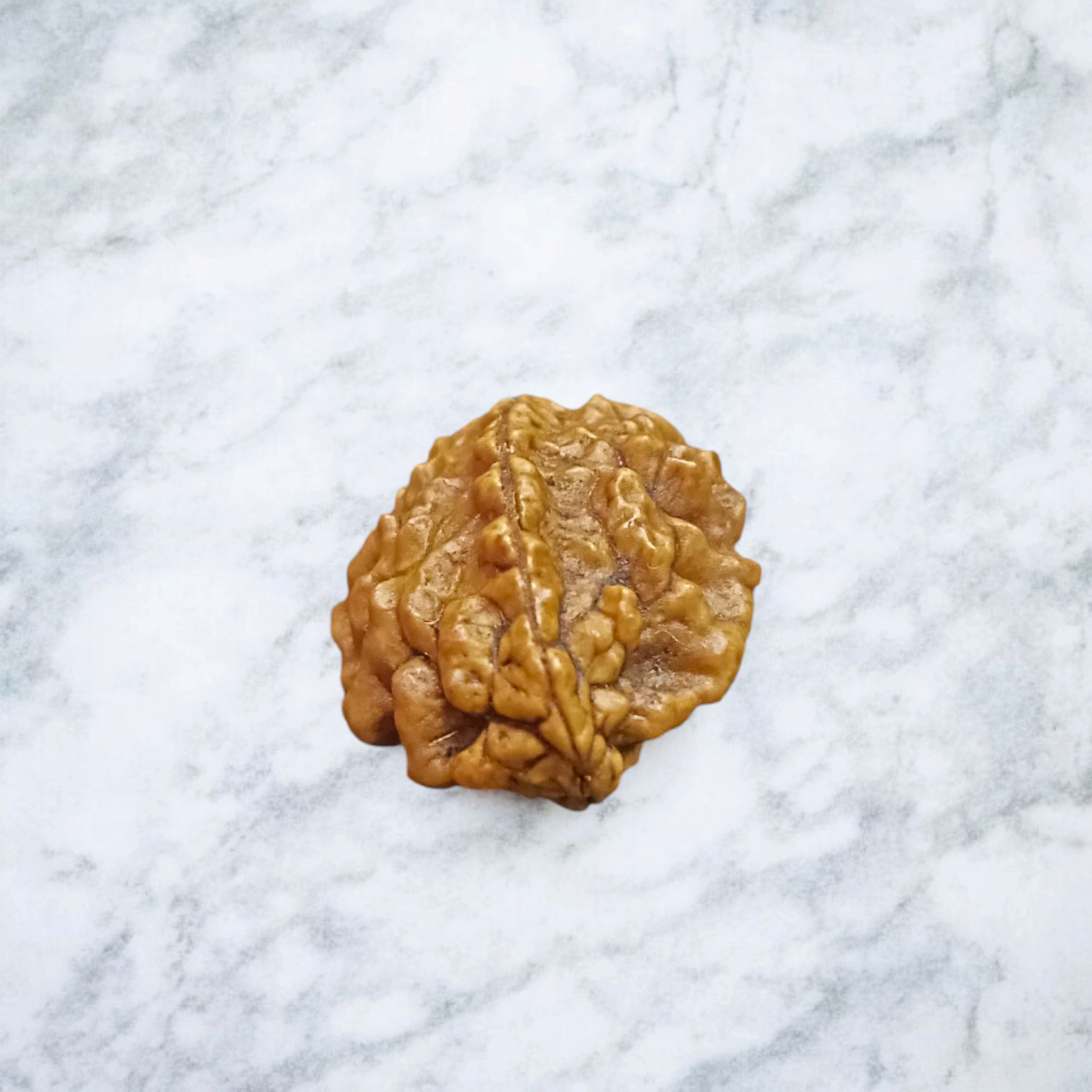 2 Mukhi Rudraksha Pendant in Silver Cap displayed on a white background, featuring fine silver work and a natural Rudraksha bead