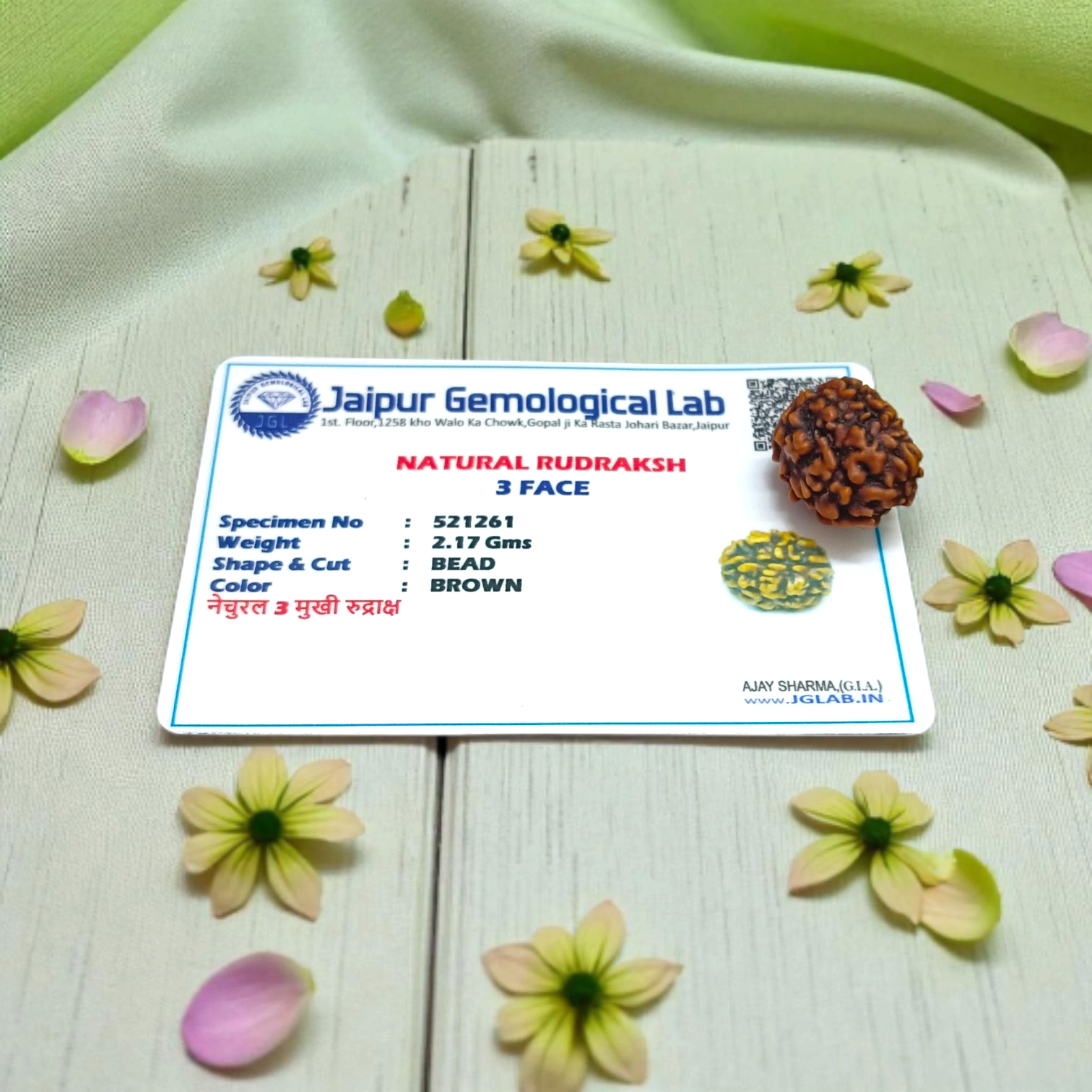 3 Mukhi Rudraksha Pendant | Lab Certified | Timeshopee