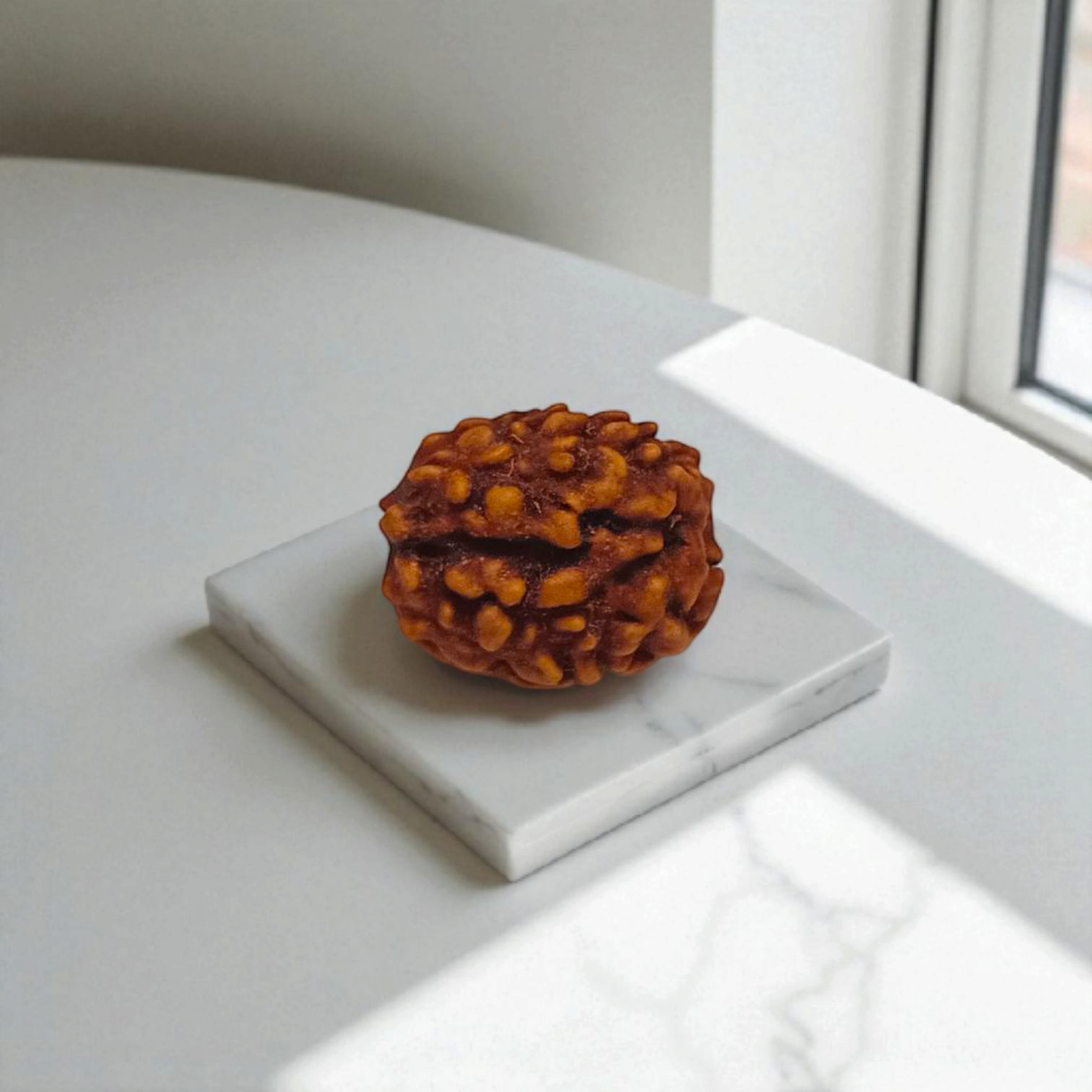 3 Mukhi Rudraksha Pendant | Lab Certified | Timeshopee