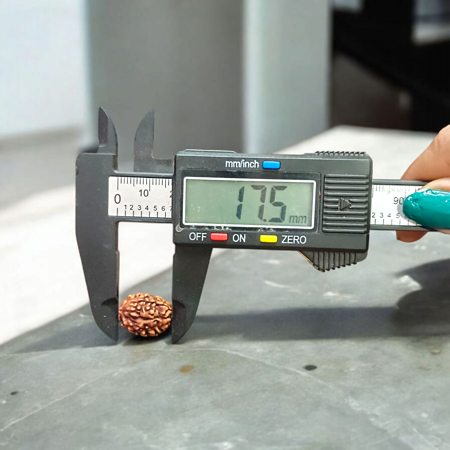 3 Mukhi Rudraksha Pendant | Lab Certified | Timeshopee