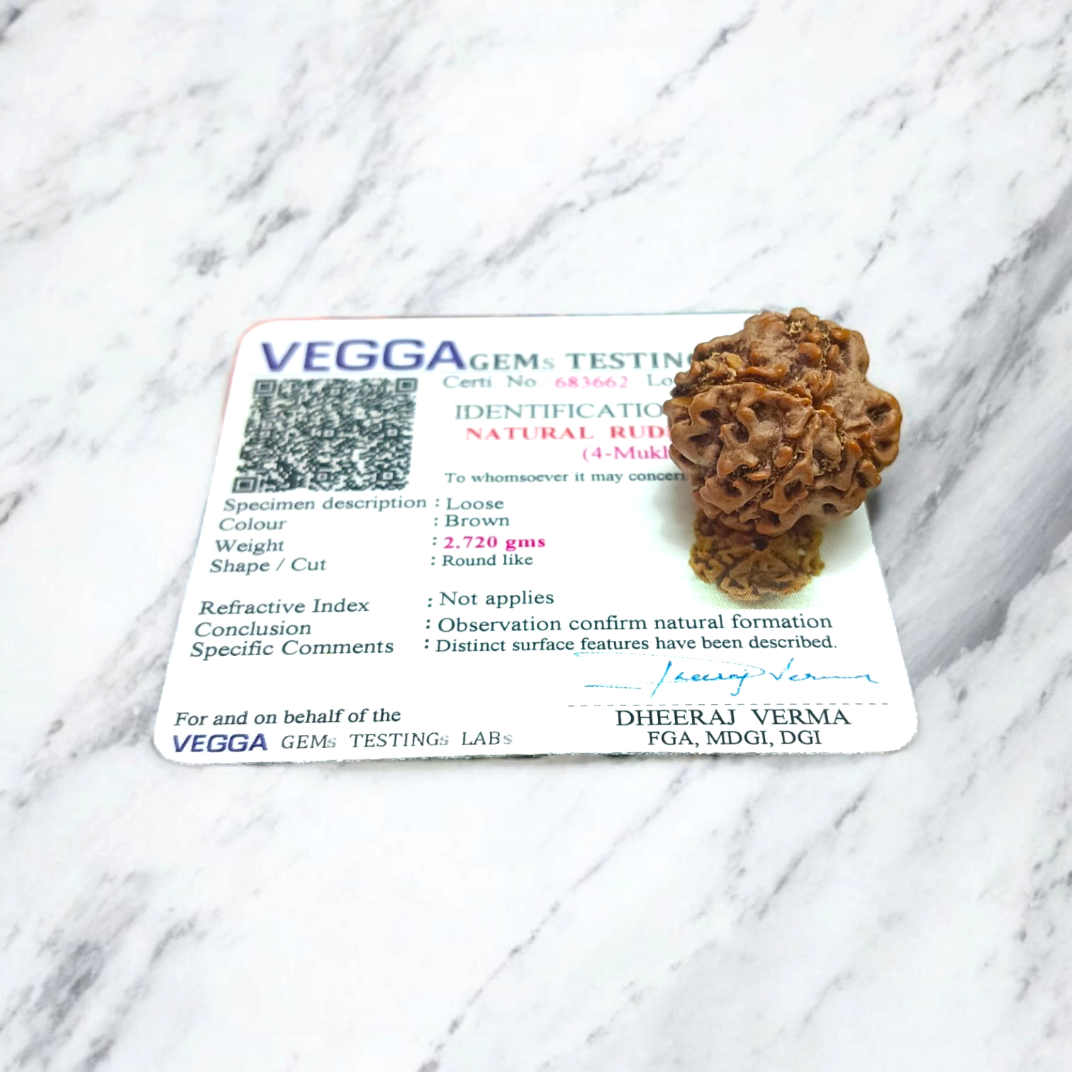 4 Mukhi Rudraksha | Lab Certified Rudraksha Locket | Timeshopee