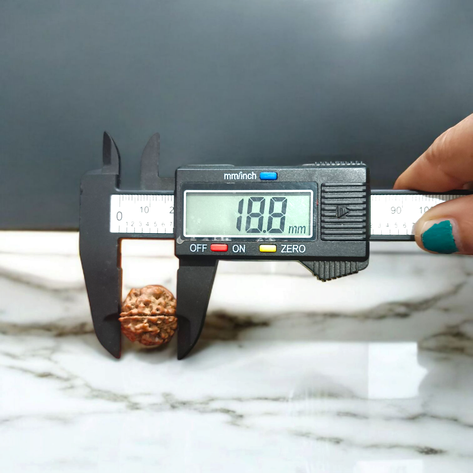 4 Mukhi Rudraksha | Lab Certified Rudraksha Locket | Timeshopee