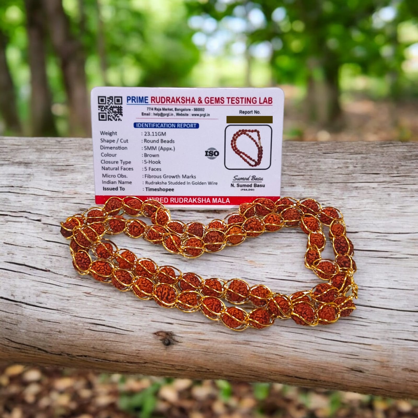 5 Mukhi Rudraksha Mala Studded in Stylish Gold Wire - Lab Certified