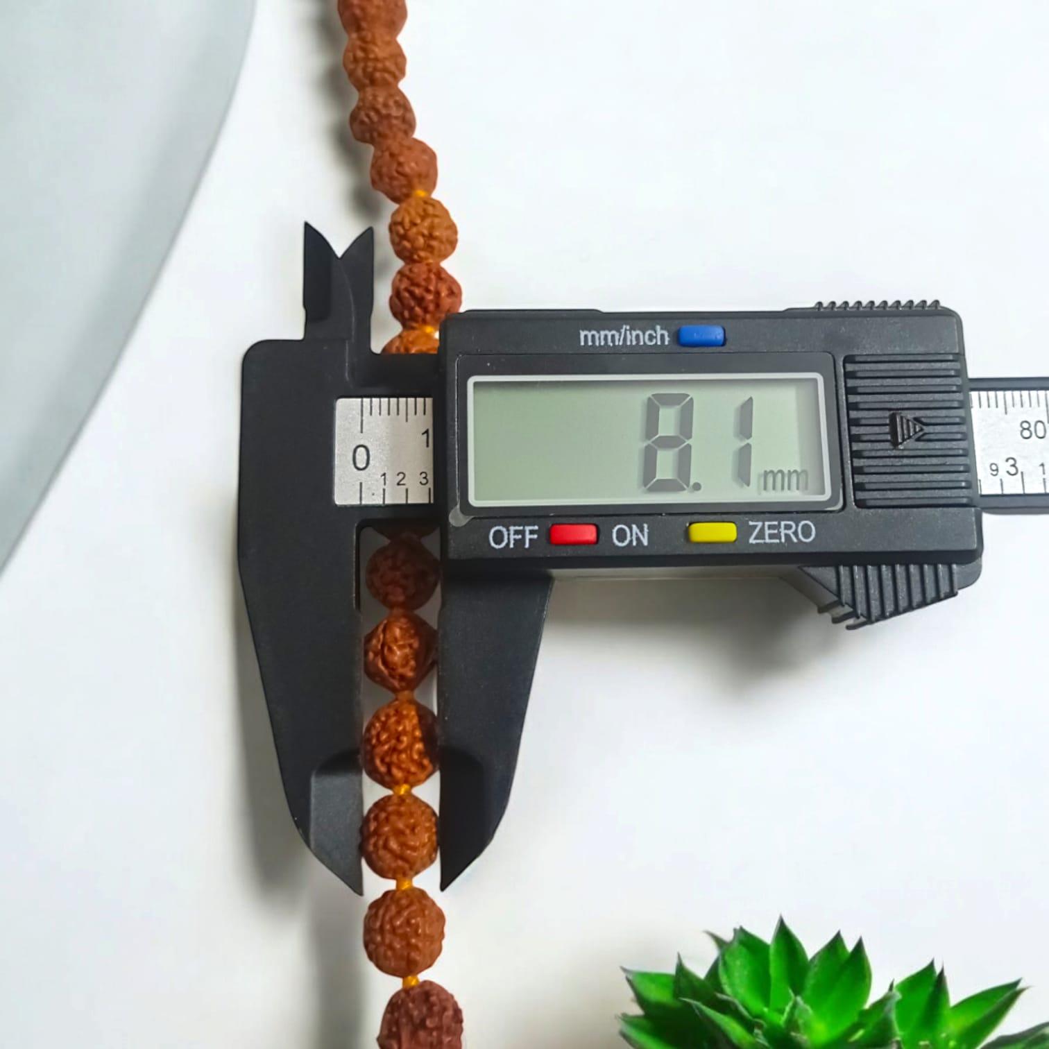 5 Mukhi Rudraksha Mala for Japa with Lab Certification, 108+1 Beads 8MM, Timeshopee