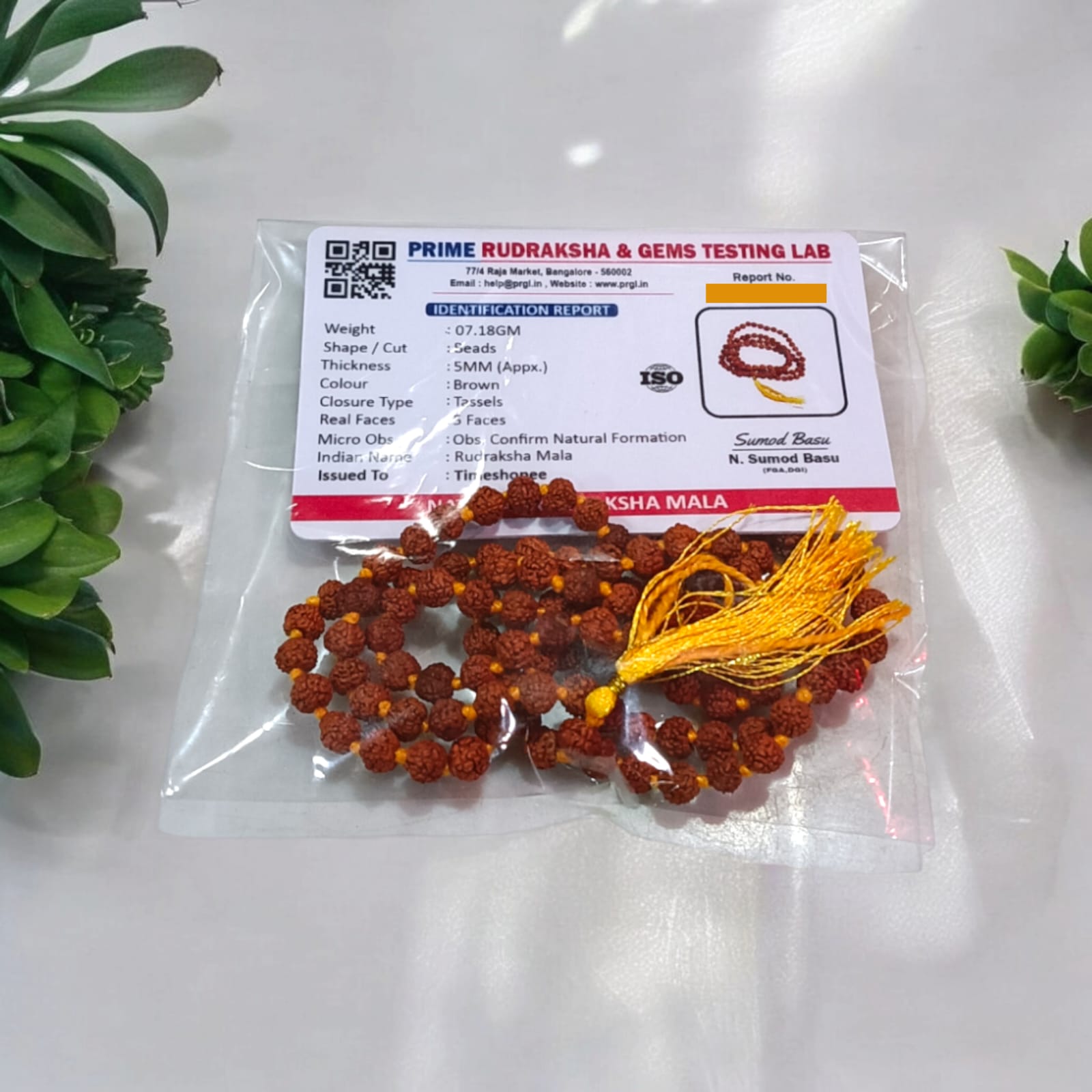 5 Mukhi Rudraksha Mala with Lab Certification, 108+1 Beads 5MM, Timeshopee