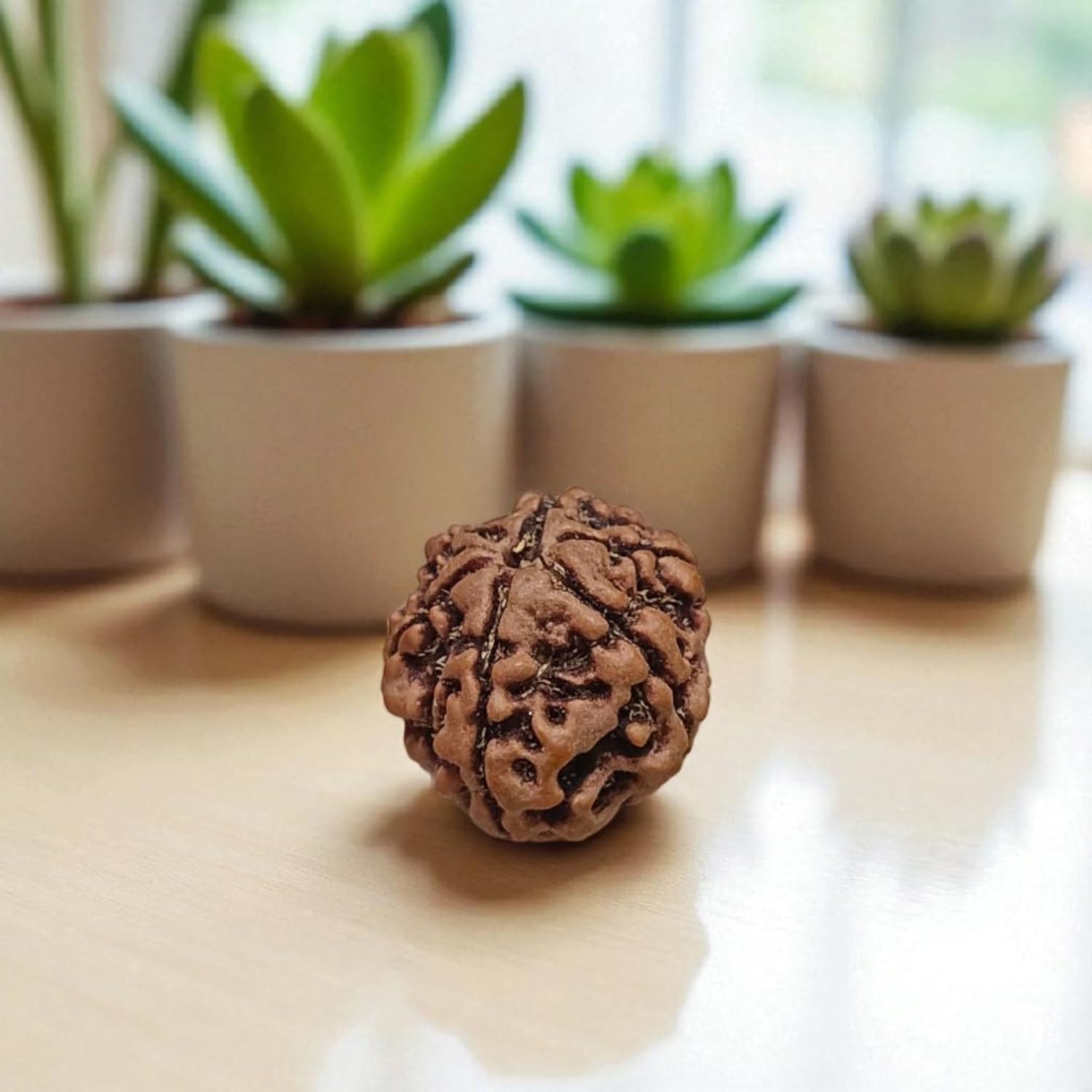 6 Mukhi Rudraksha Locket in Brass Casing - Lab Certified Spiritual Bead from Timeshopee