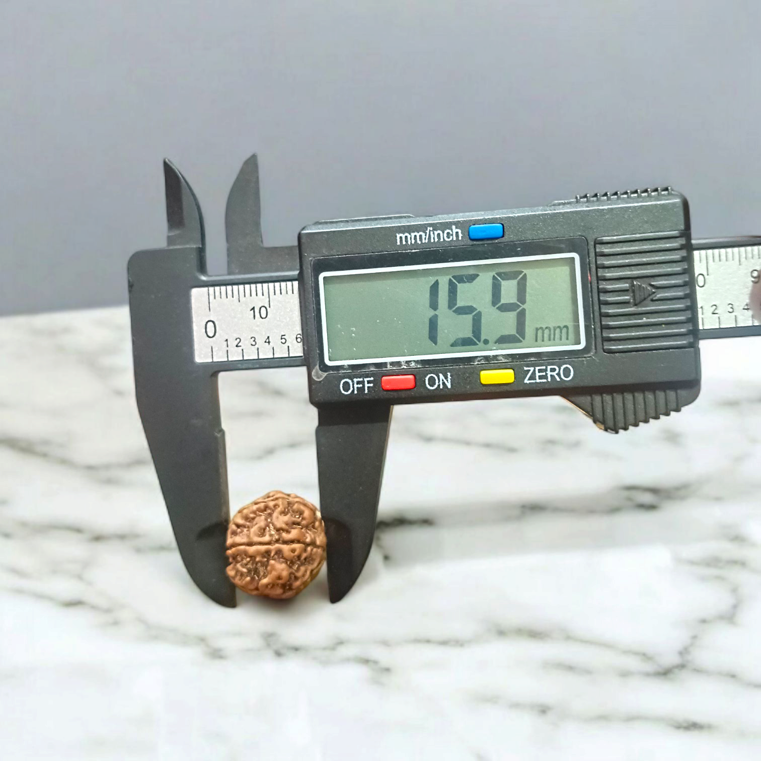 6 Mukhi Rudraksha Locket in Brass Casing - Lab Certified Spiritual Bead from Timeshopee