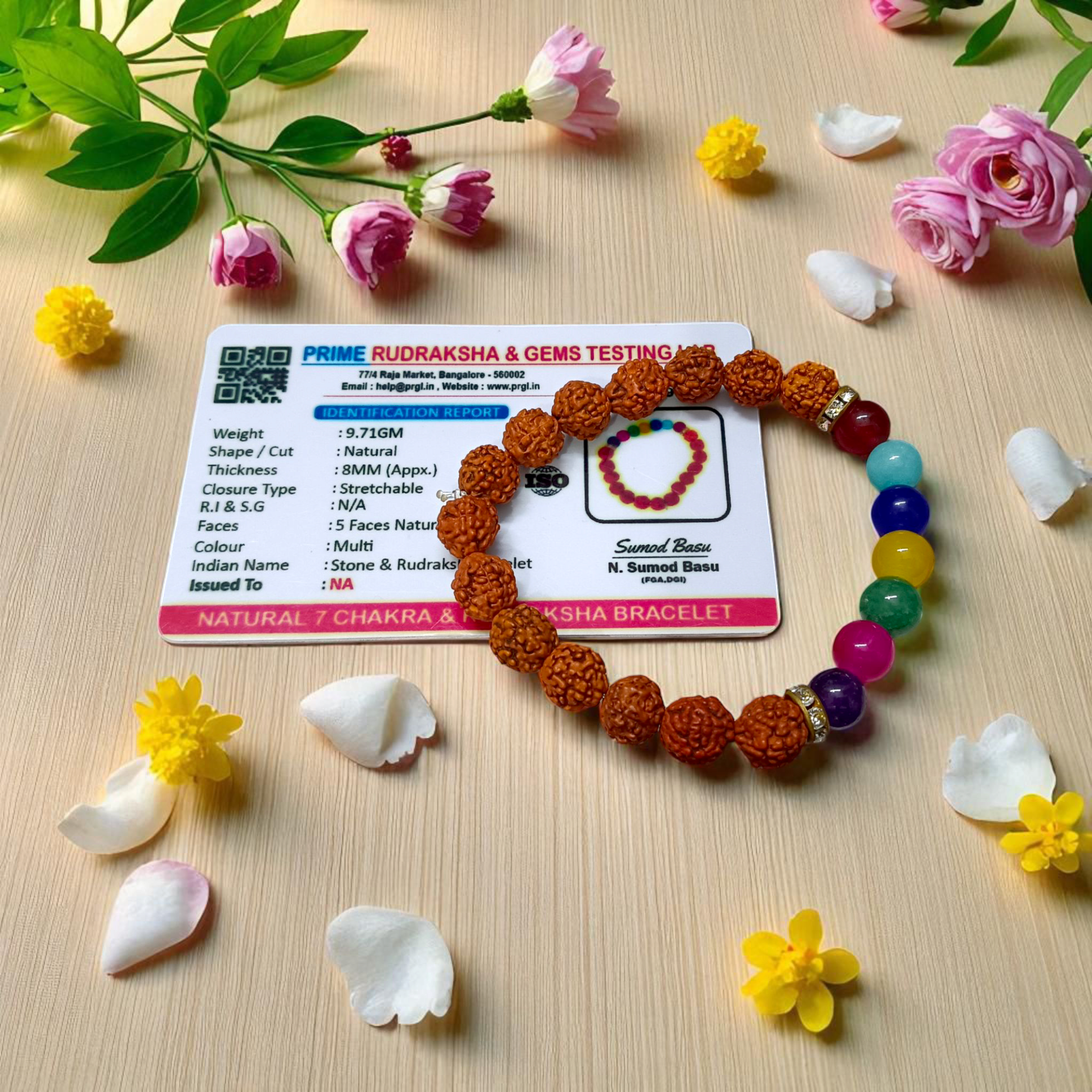 7 Chakra & Rudraksha Bracelet with 8mm natural beads, arranged in colorful chakra order alongside sacred Rudraksha beads, displayed on a spiritual setting