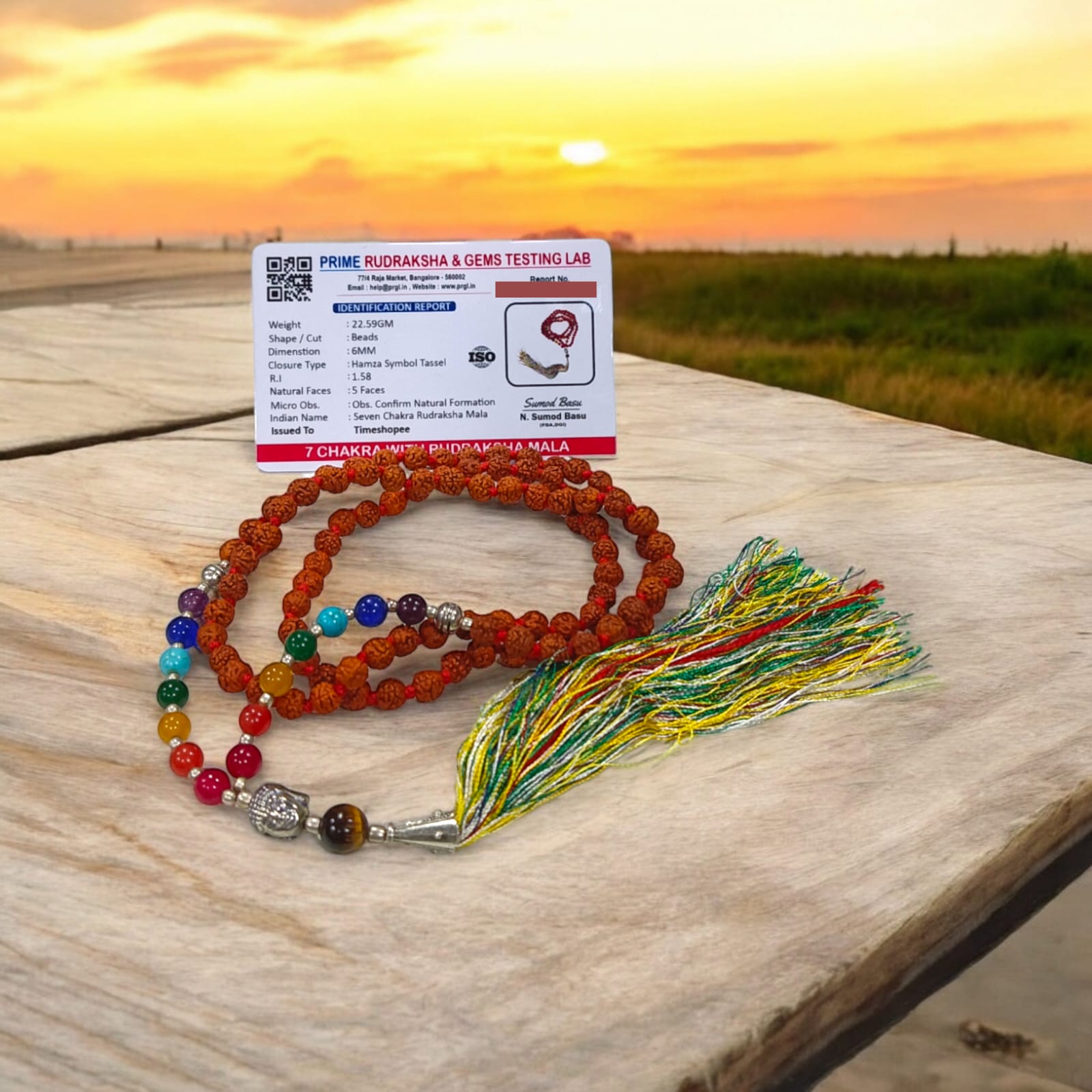 7 Chakra with 5 Mukhi Rudraksha Mala Lab Certified