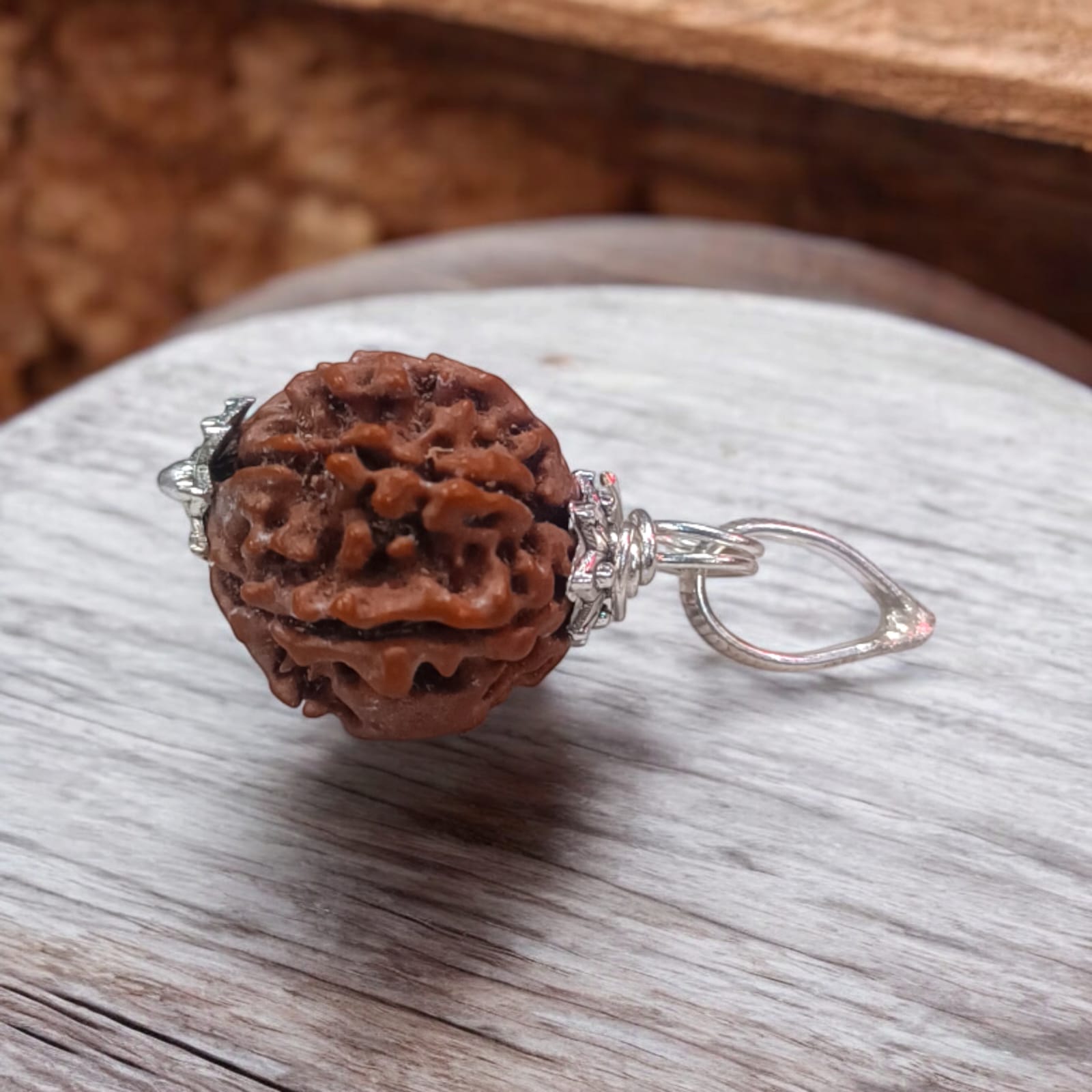 7 Mukhi Rudraksha Locket in a silver cap with black thread – Lab Certified from Timeshopee