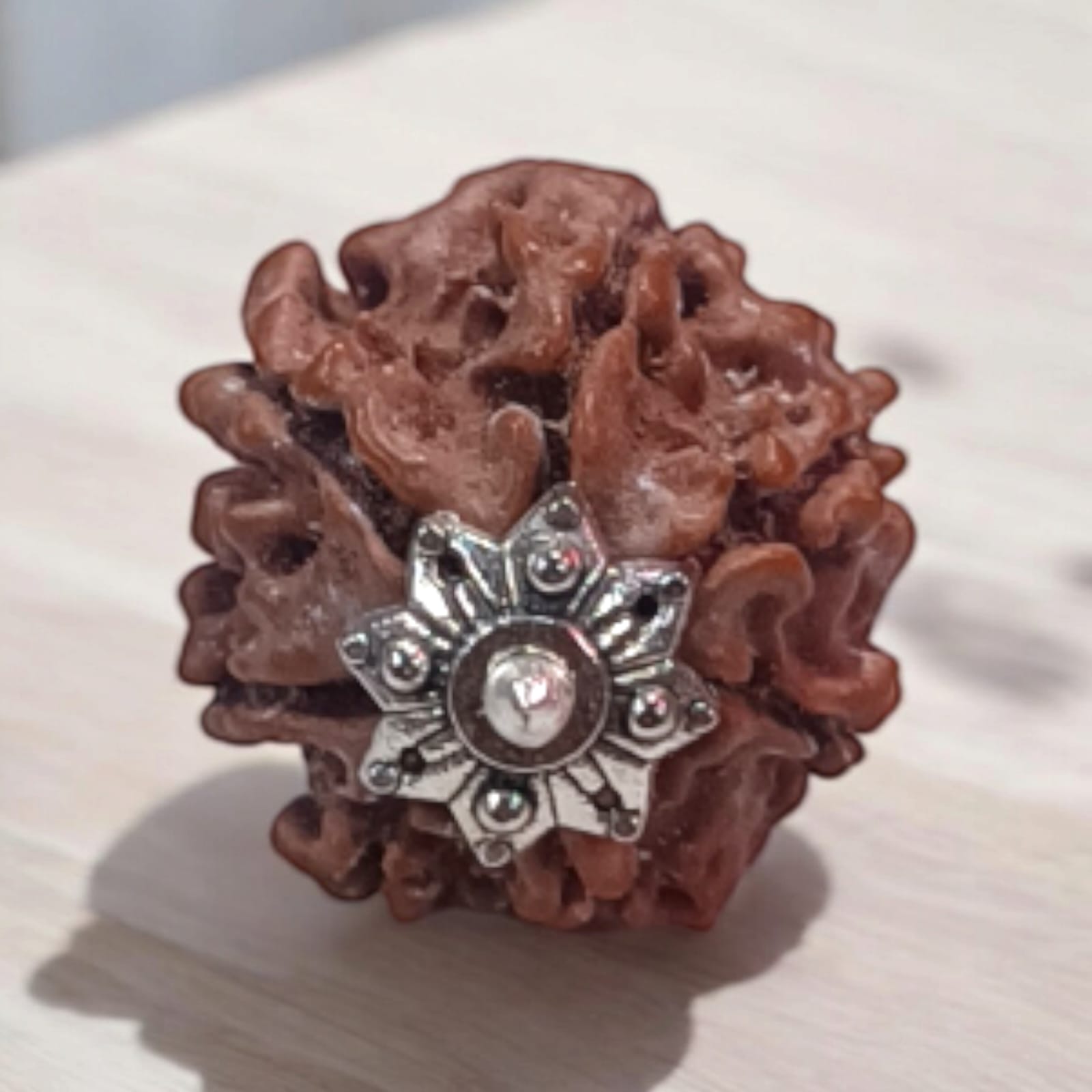 7 Mukhi Rudraksha Locket in a silver cap with black thread – Lab Certified from Timeshopee