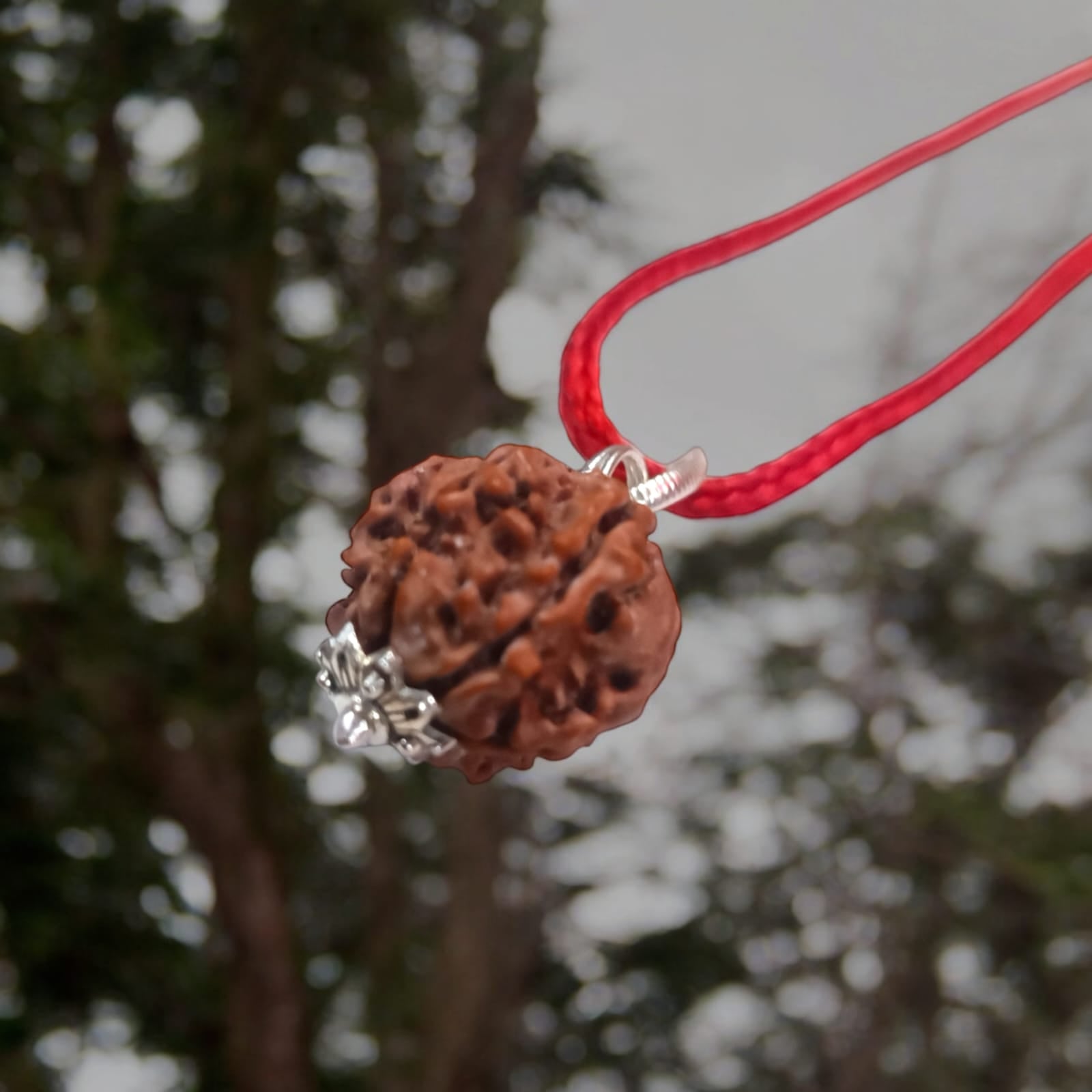 7 Mukhi Rudraksha Locket in a silver cap with black thread – Lab Certified from Timeshopee