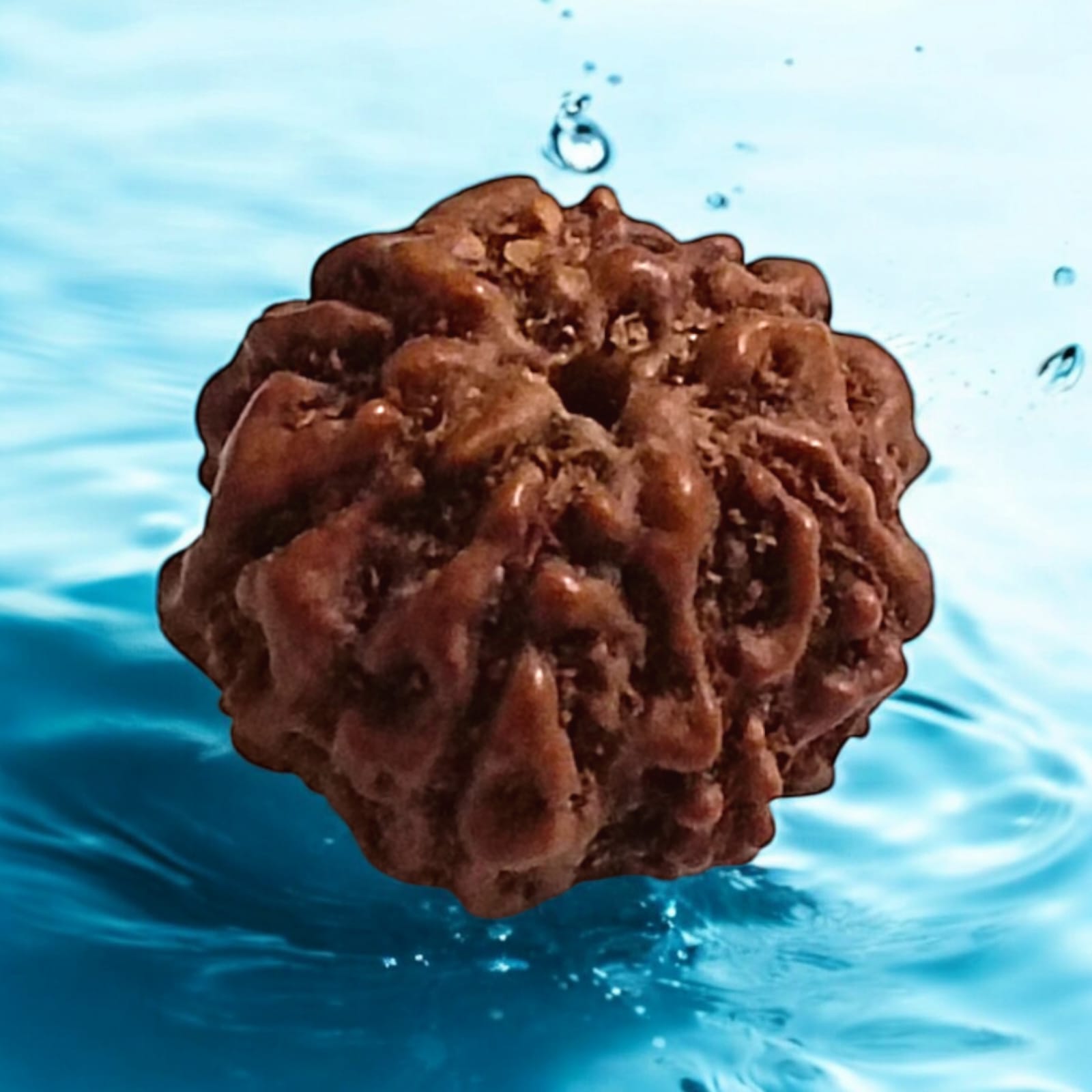 7 Mukhi Rudraksha Locket in a silver cap with black thread – Lab Certified from Timeshopee