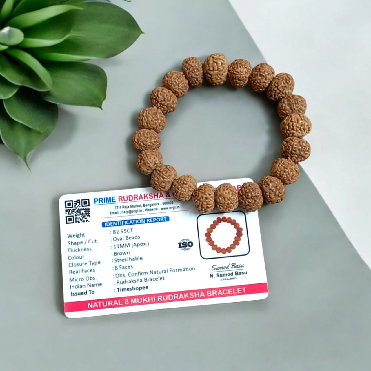 8 Mukhi Rudraksha Bracelet - Stretchable Lab Certified Bracelet for Removing Obstacles and Success by Timeshopee