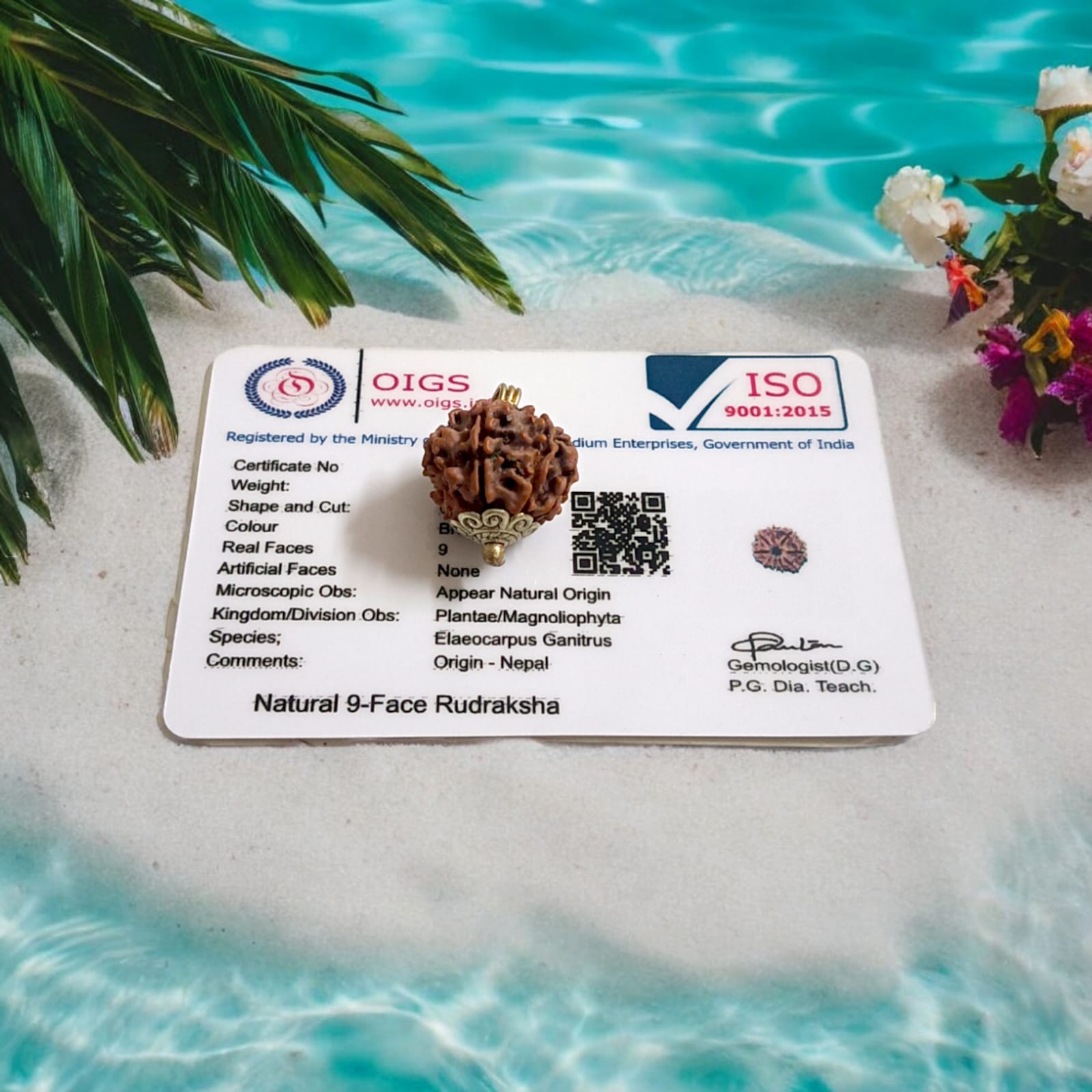 9 Mukhi Rudraksha Locket Lab Certified with and without Cap