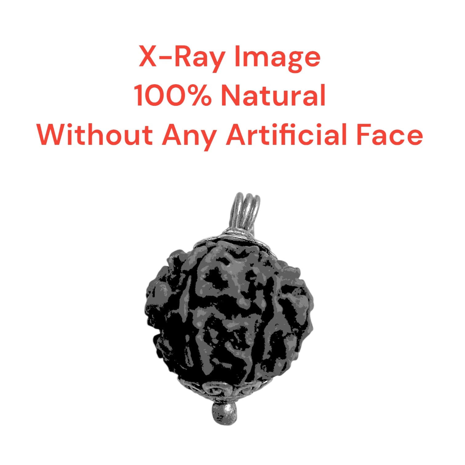 9 Mukhi Rudraksha Locket Lab Certified with and without Cap