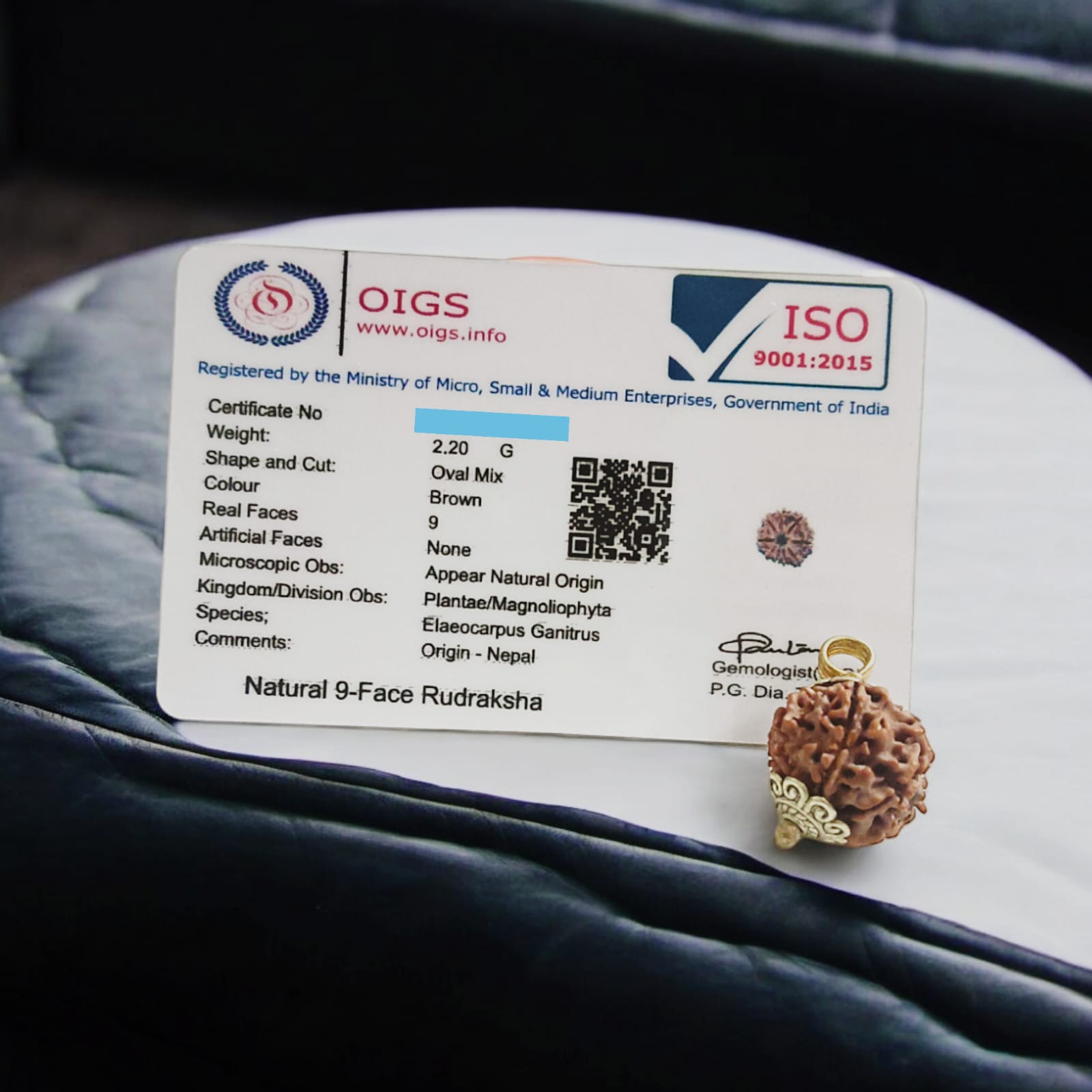 9 Mukhi Rudraksha Locket Lab Certified with and without Cap