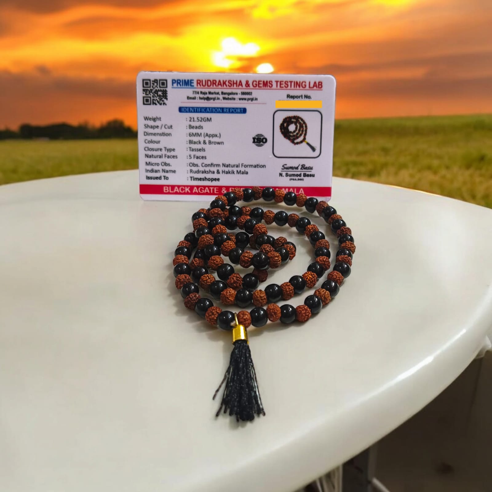 A Black Agate and Rudraksha Mala with 108+1 beads, each bead 6MM in size. Perfect for mantra chanting and daily wear, the mala offers spiritual energy and protection.