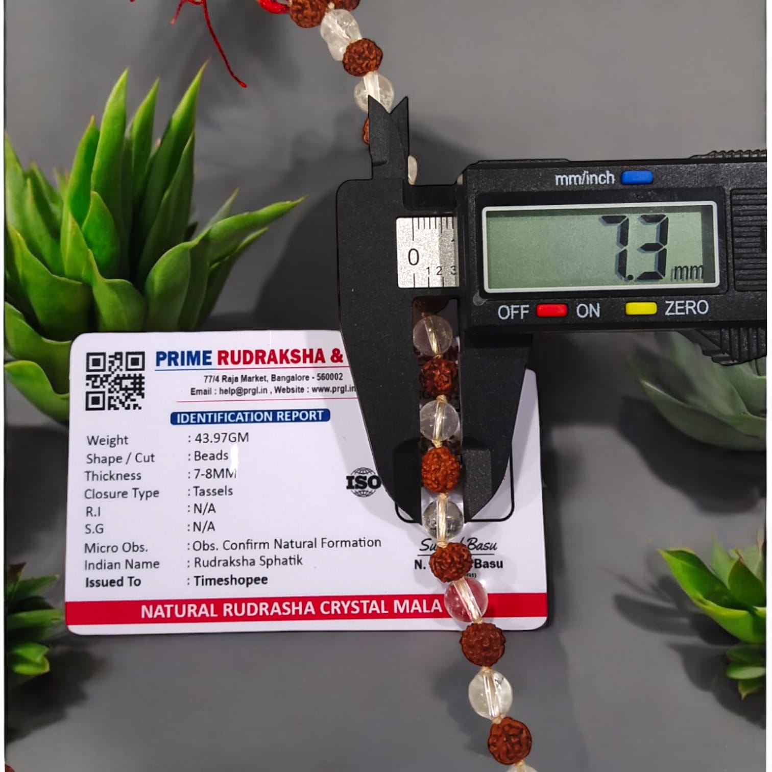 A beautiful Rudraksha and Sphatik Crystal Mala with natural beads, arranged neatly, available in 27+1 and 108+1 variants, displayed on a spiritual-themed background