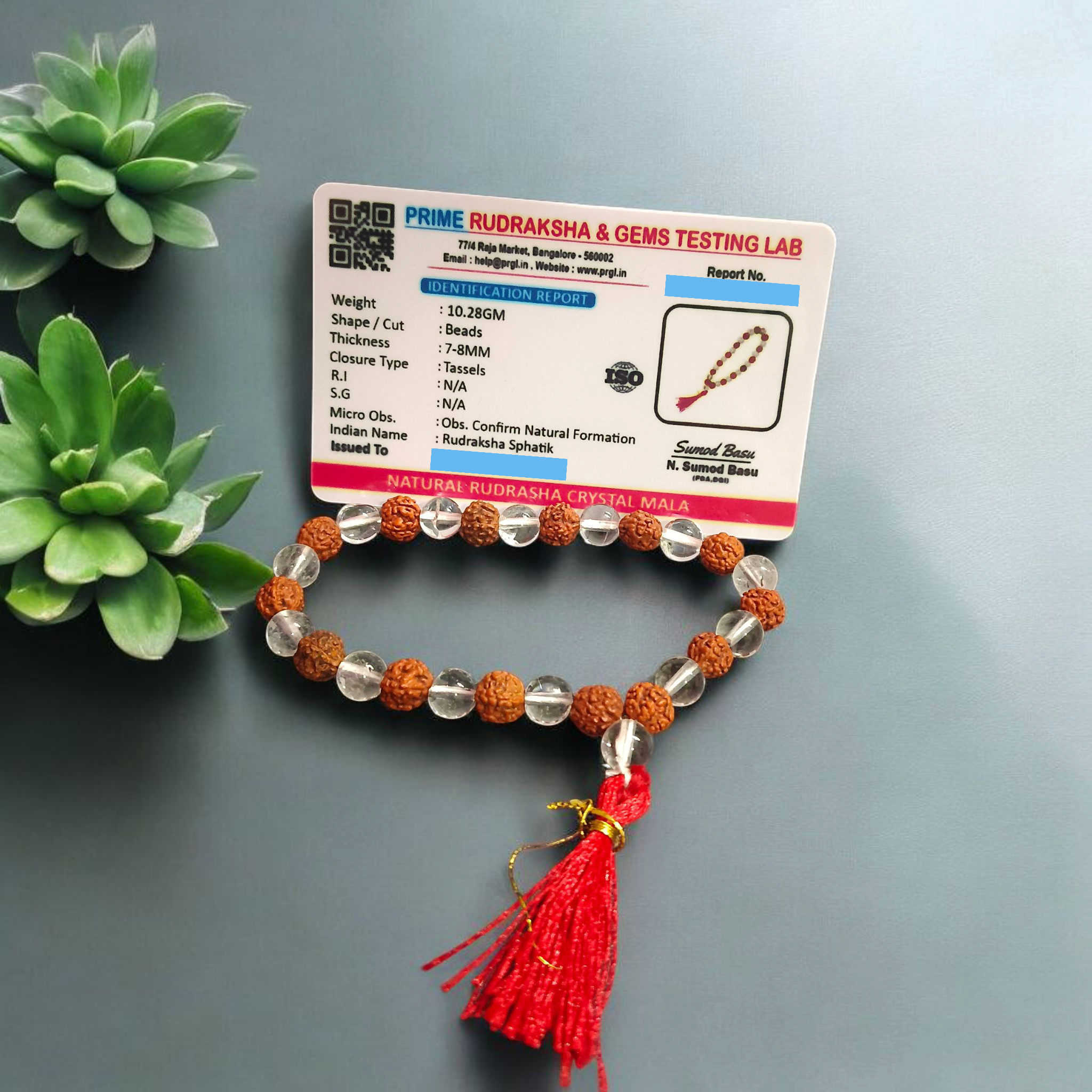 A beautiful Rudraksha and Sphatik Crystal Mala with natural beads, arranged neatly, available in 27+1 and 108+1 variants, displayed on a spiritual-themed background