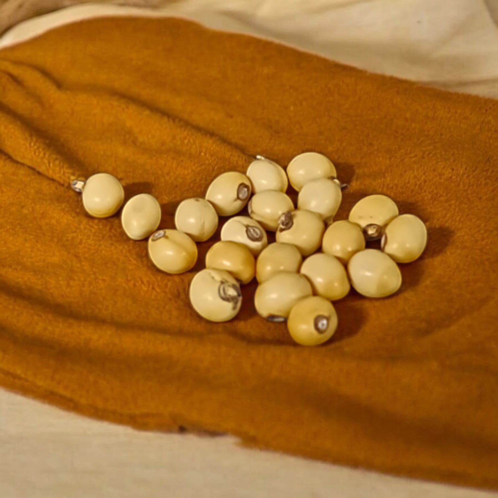 A set of 21 lab-certified Gunja seeds in red, white, and black, featuring loose beads ideal for spiritual use, crafting, or decoration.