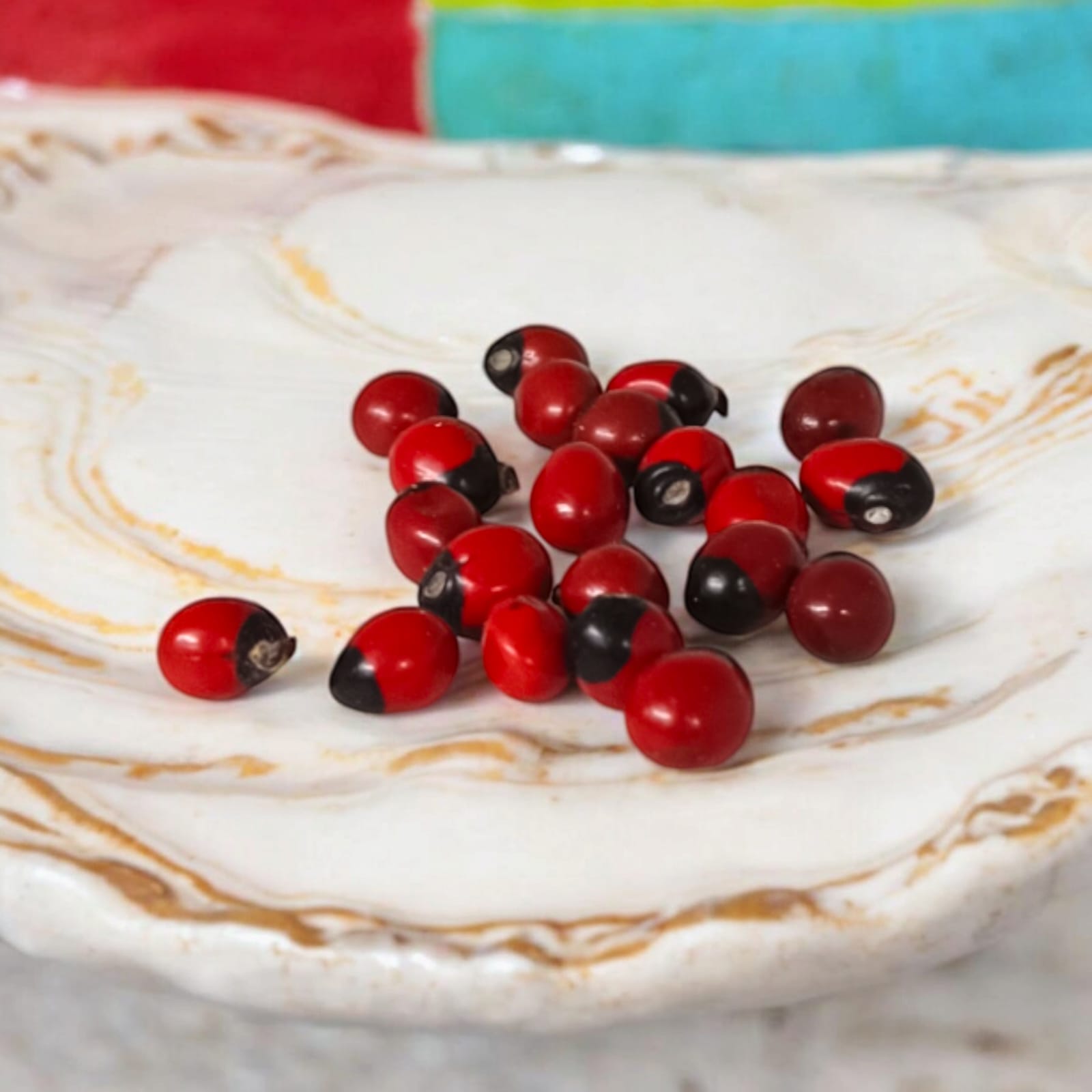 A set of 21 lab-certified Gunja seeds in red, white, and black, featuring loose beads ideal for spiritual use, crafting, or decoration.