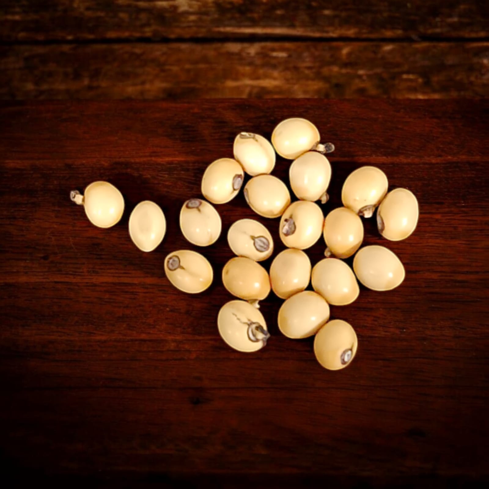 A set of 21 lab-certified Gunja seeds in red, white, and black, featuring loose beads ideal for spiritual use, crafting, or decoration.