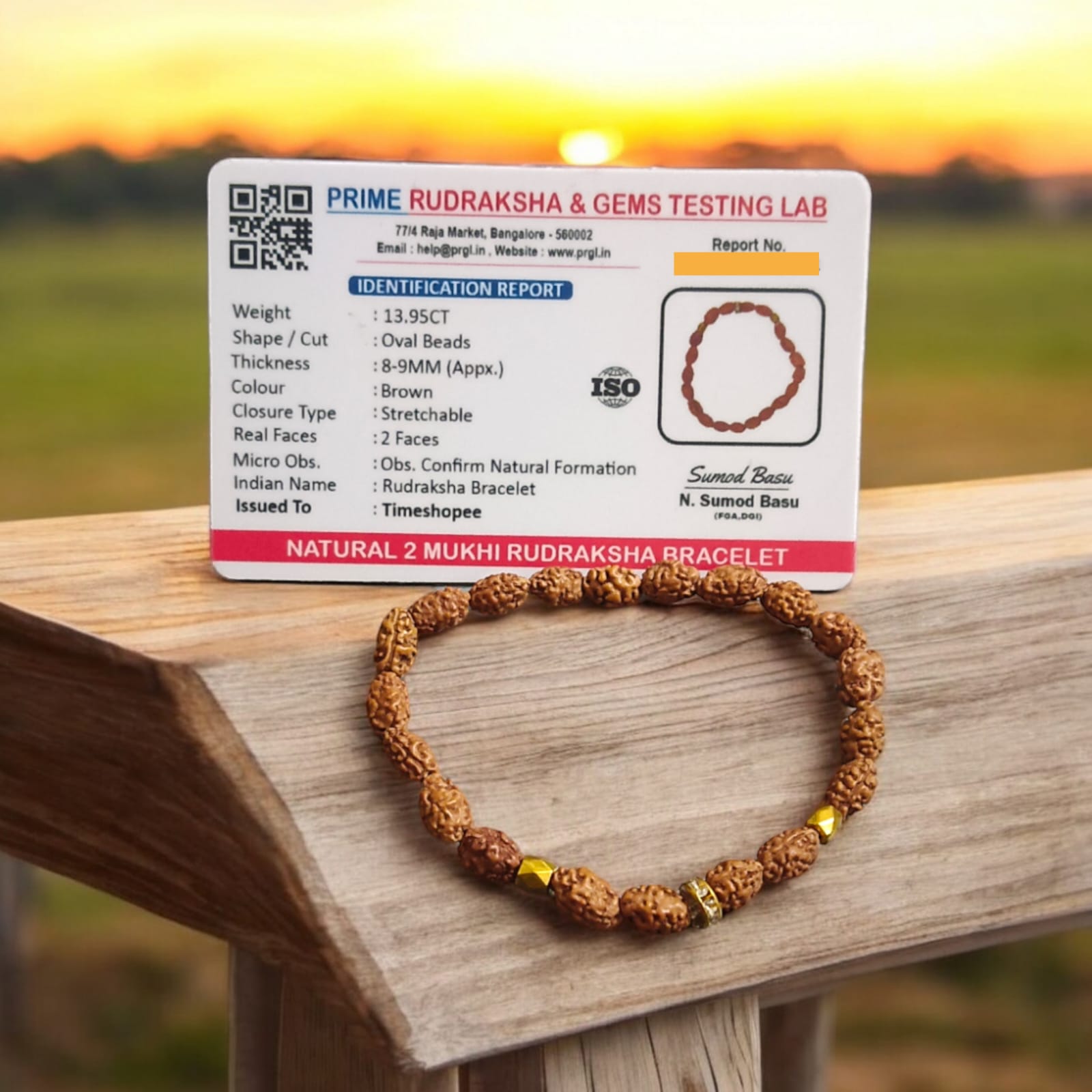 A stretchable 2 Mukhi Rudraksha bracelet featuring 8MM lab-certified beads designed to improve communication skills and promote clarity of thought.