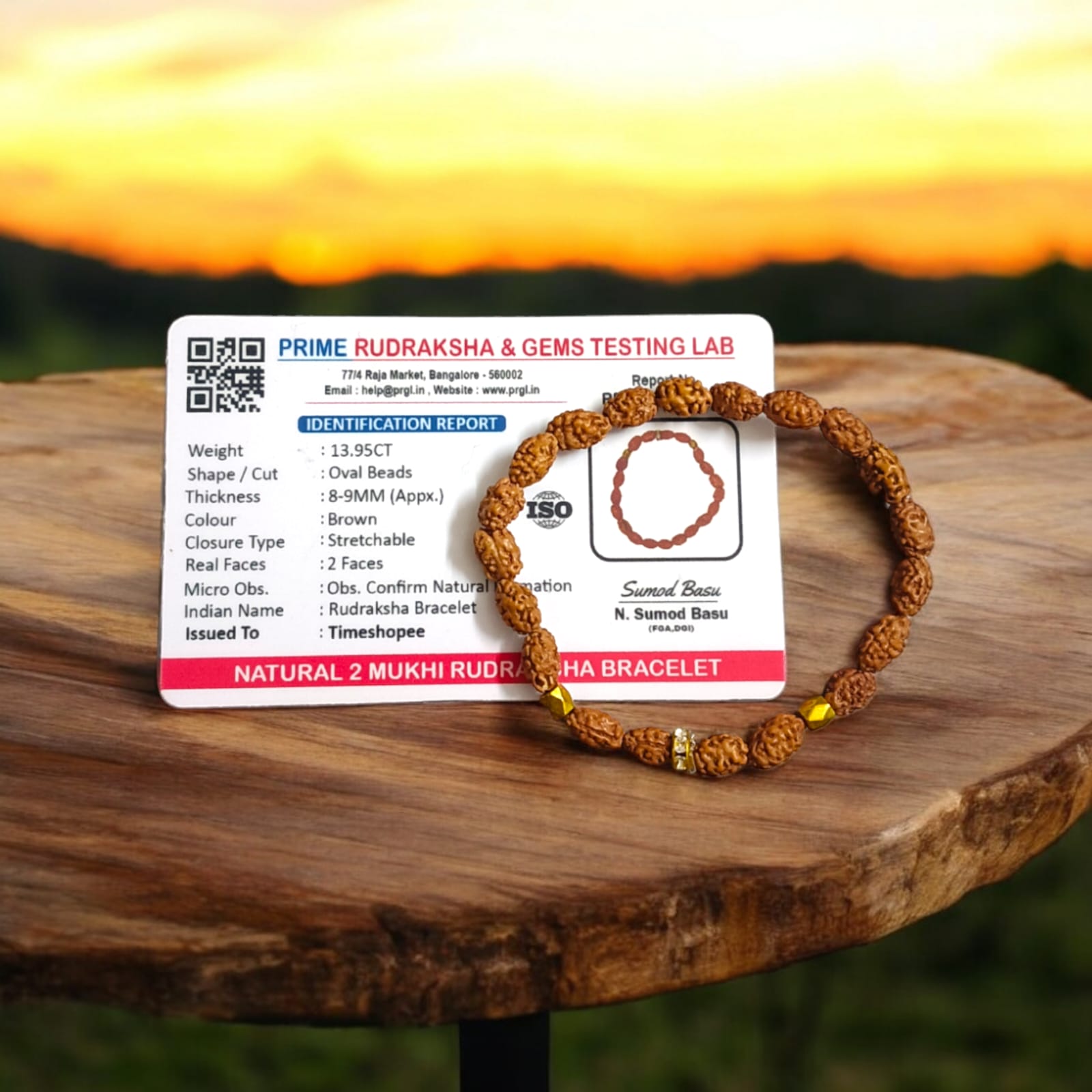 A stretchable 2 Mukhi Rudraksha bracelet featuring 8MM lab-certified beads designed to improve communication skills and promote clarity of thought.