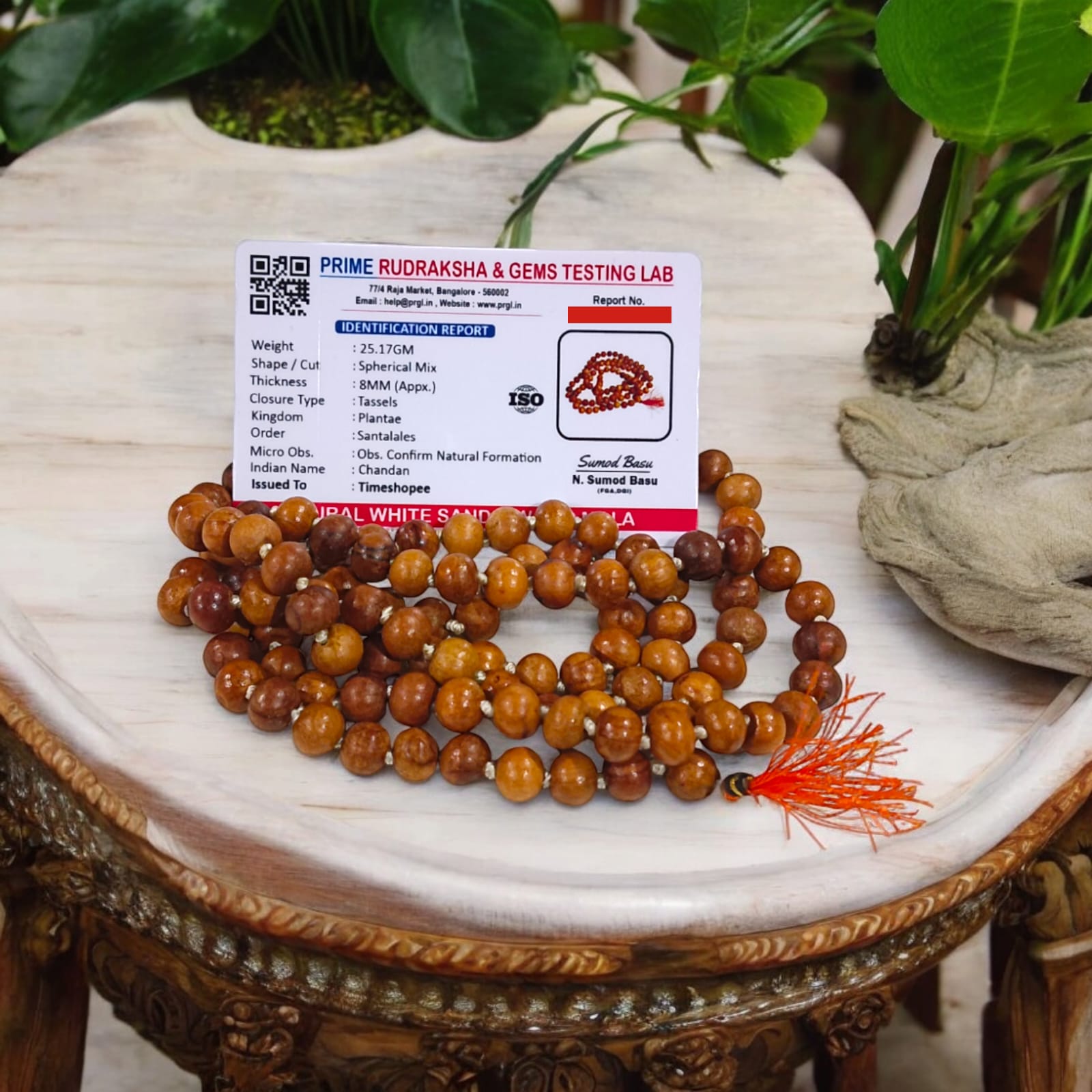 A traditional White Sandalwood Mala (Safed Chandan Mala) made with 108+1 beads, displayed with a sacred backdrop