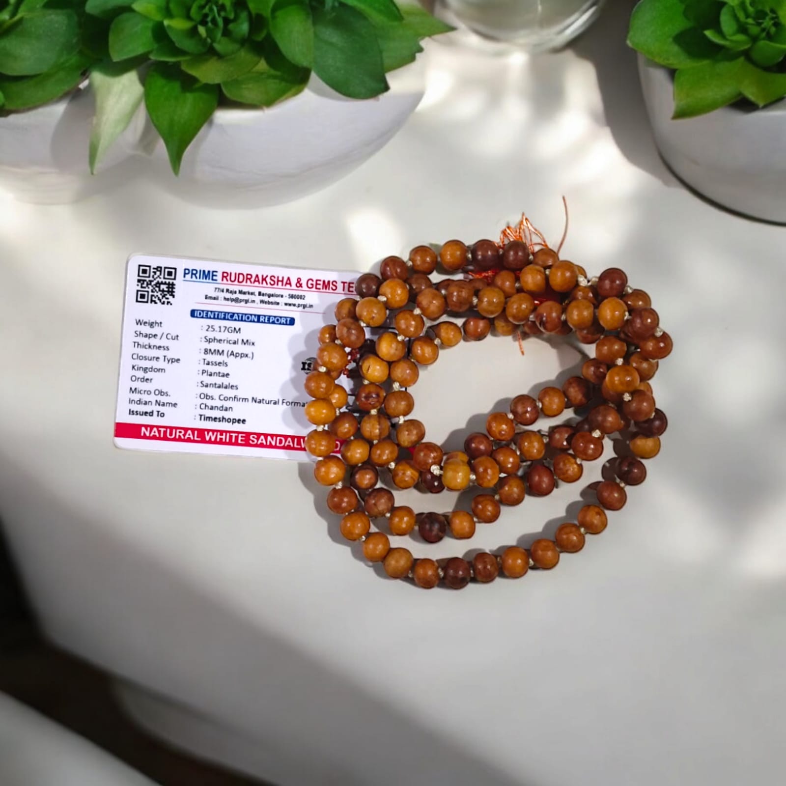 A traditional White Sandalwood Mala (Safed Chandan Mala) made with 108+1 beads, displayed with a sacred backdrop