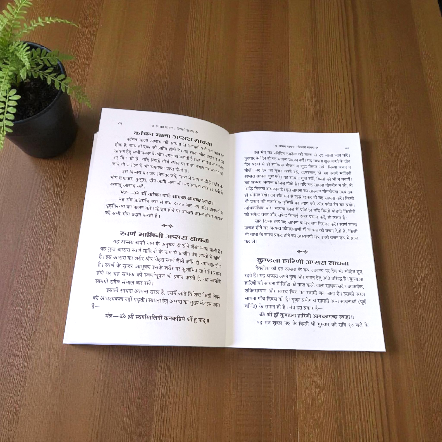 Apsara Sadhana, Kinnari Sadhana, Trikaladarshi Kaalagyan Sadhana In Hindi Book – Advanced Spiritual Guide for Seekers and Practitioners