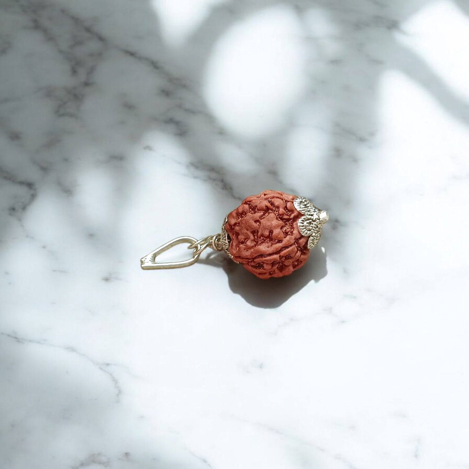 Authentic 5 Mukhi Rudraksha Mala and Pendant Combo placed on a white background with sacred thread and spiritual packaging