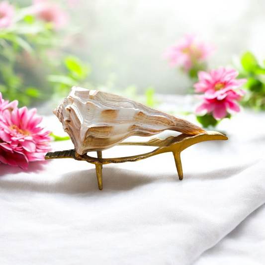 Authentic Dakshinavarti Shankh (Valampuri Sangu) - Right-handed sacred conch shell for Lakshmi pooja and vastu use