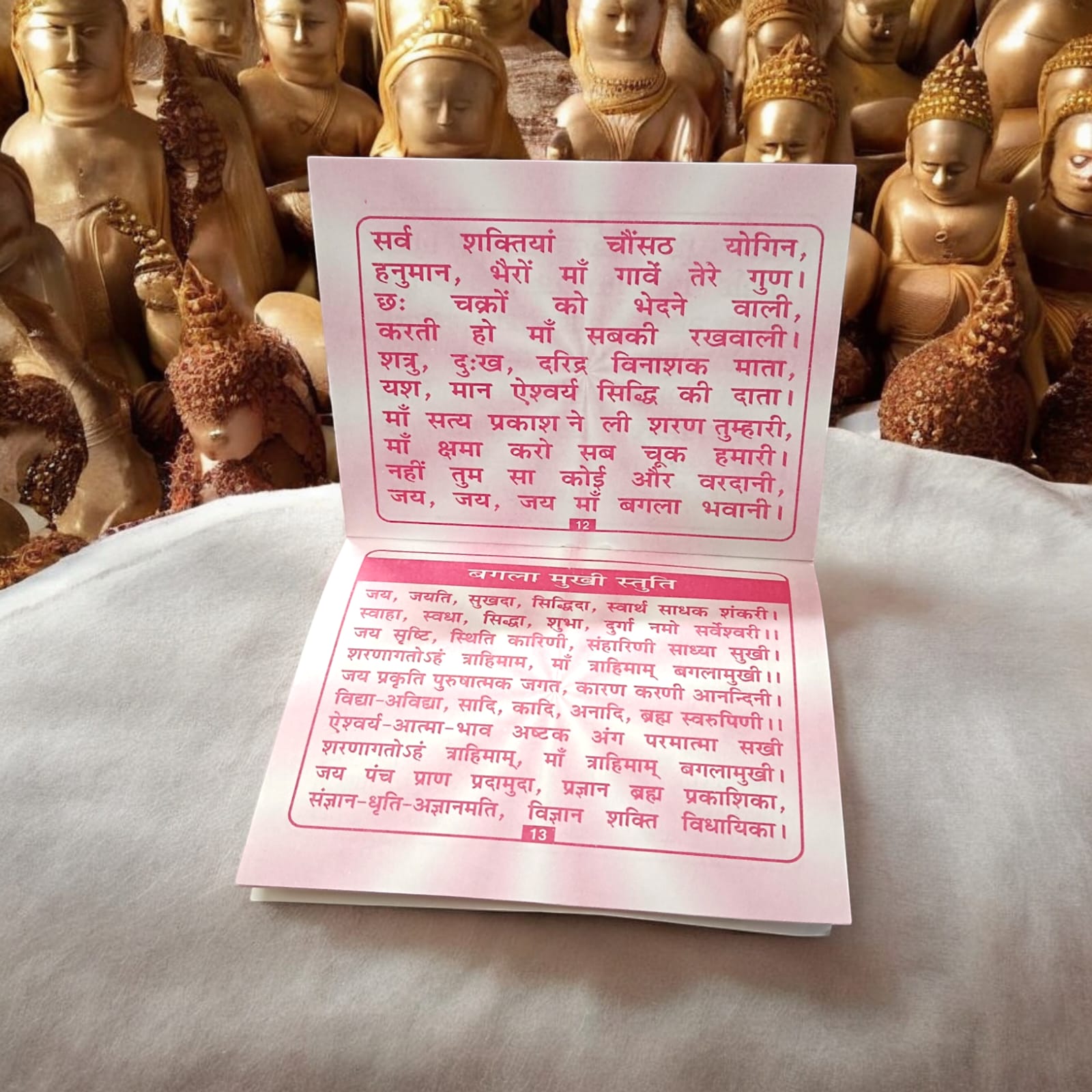 Baglamukhi Chalisa Hindi Book with 16 pages, featuring prayers for Maa Baglamukhi, available at Timeshopee.