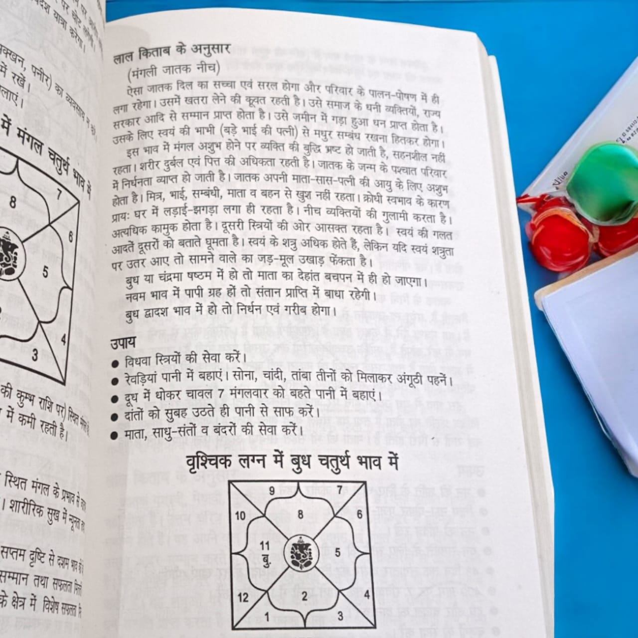 Bhumi Bhawan Sukh | Hindi Book | House/Land/Office Interior As Per Vaastu